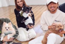 快適フロアでワンちゃん大満足!!