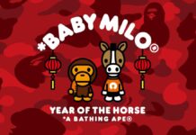 YEAR OF THE HORSE 2026