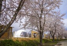 【yamagata glam】春、花、香。五感で山形の春を感じる「体験型グランピングプラン」を2026年4月1日(水)より提供開始。