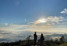 【日本一の星空】長野県阿智村 ゴンドラで行く絶景!!「天空の楽園 雲海Harbor」開催