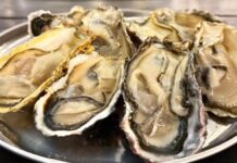 出張牡蠣小屋【かき太鼓】が12月10日トナリエ宇都宮にNEW OPEN!〈宇都宮市〉