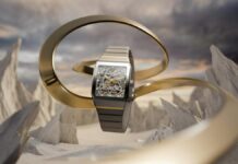 美しさの本質は内側にある – アナトム スケルトン –